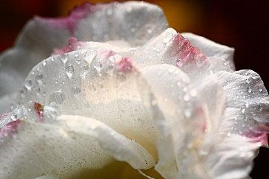 独立冒险《最后的火柴小女孩》公布 Steam页面上线